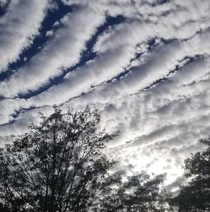 Meet your Posher, Haykel